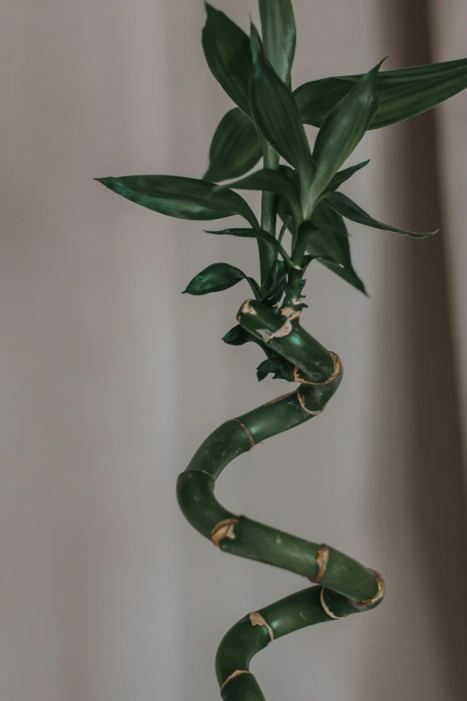an ornate bamboo plant decorated with gold leaves