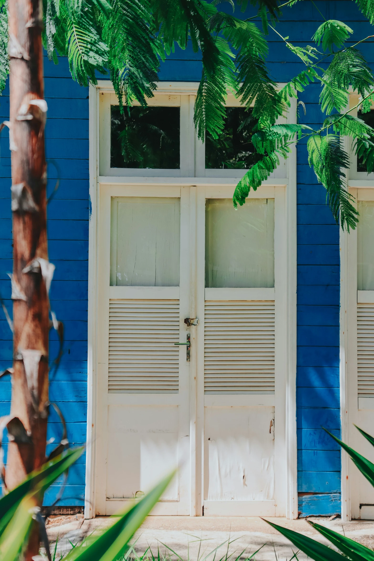 the blue house has wooden shutters and windows