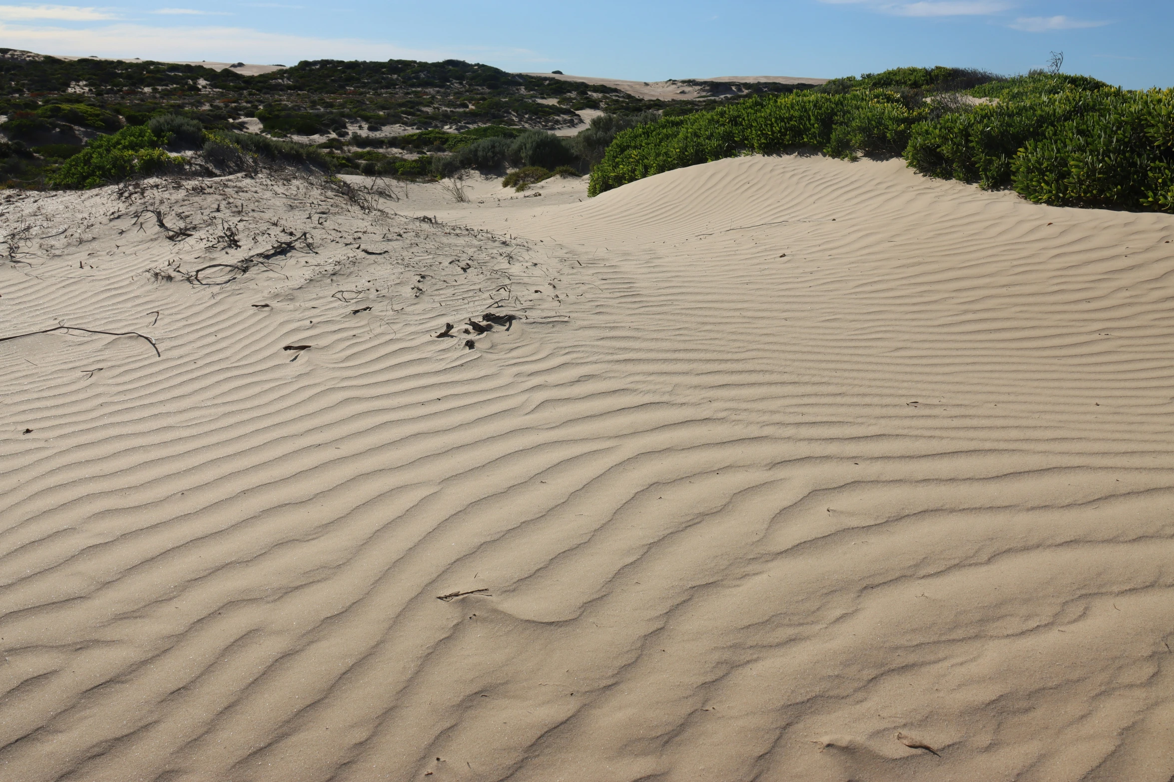 a person riding a horse on the sand