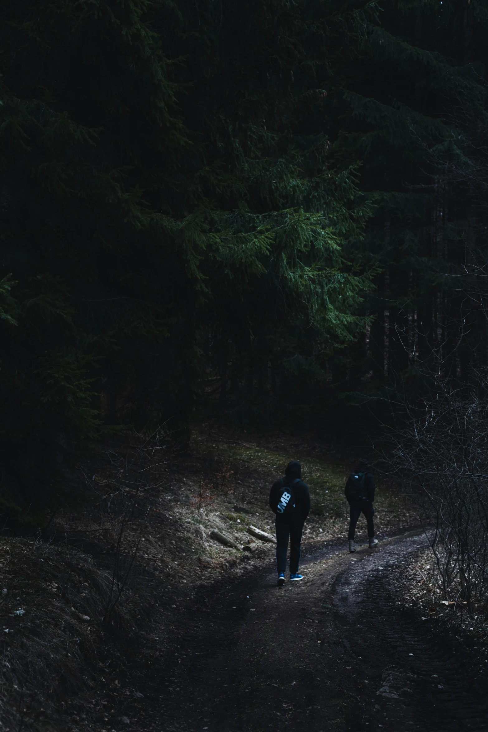 a couple of people walking down a trail in the woods