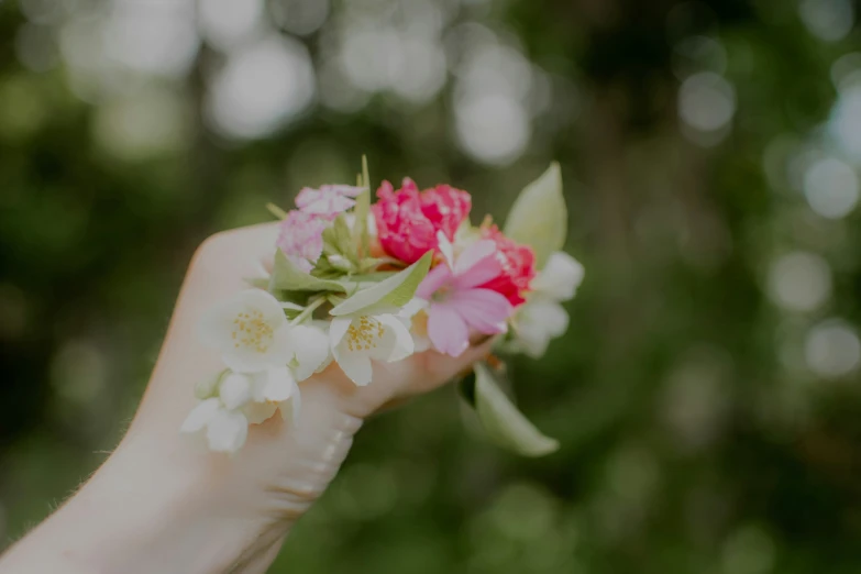 a hand holding out flowers to the camera