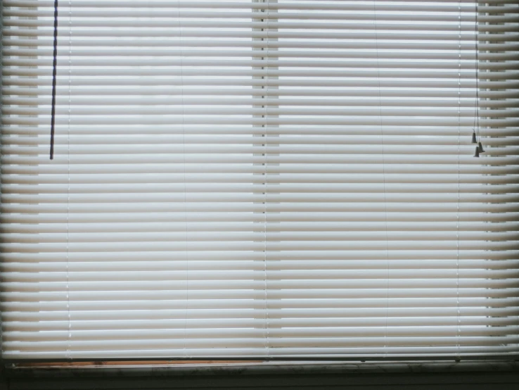 a black cat sits on a window ledge next to a white blinds