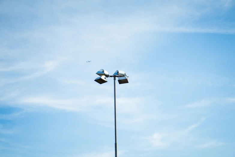 the lamp posts have two birds on top