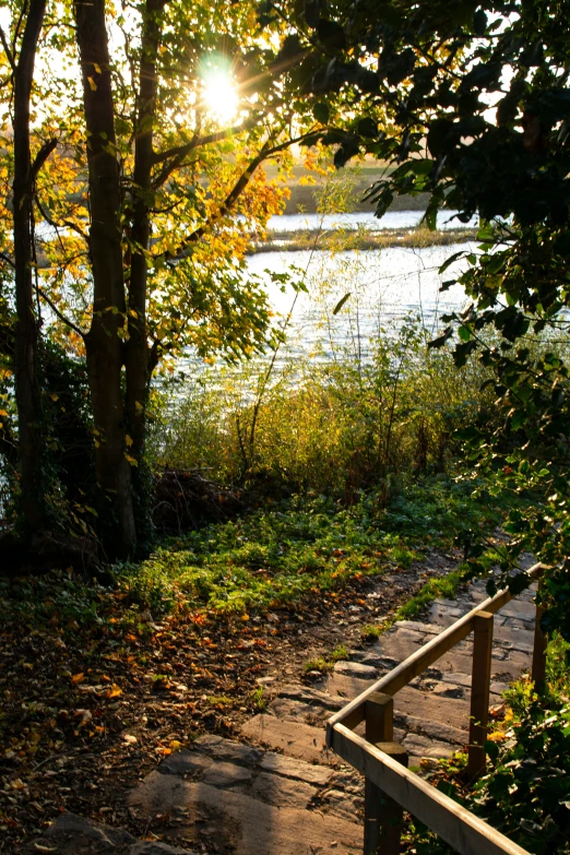 steps lead to an empty dock with water in the background