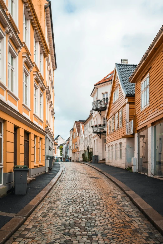 cobblestone street with yellow buildings and green plants in the city