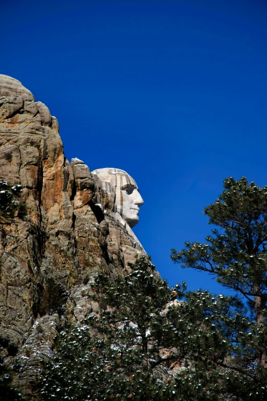 the view of a mount, near some trees and bushes