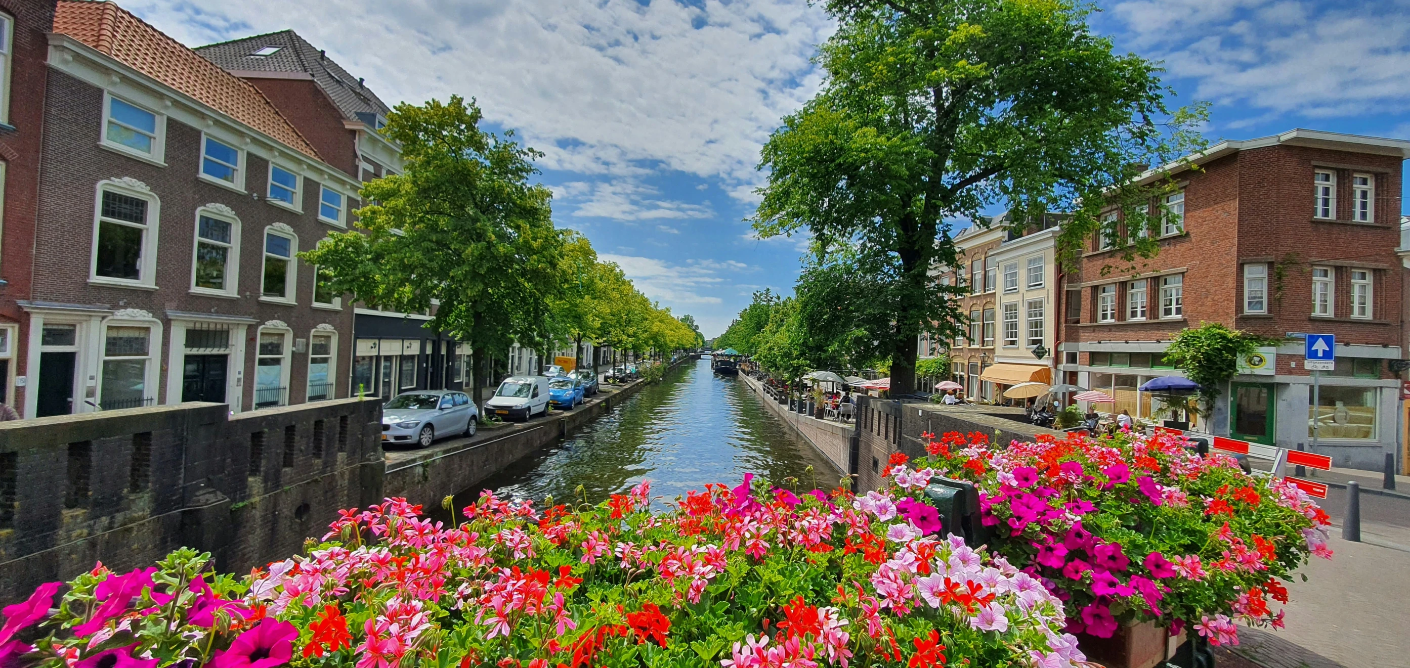 flowers line a canal on either side of the buildings