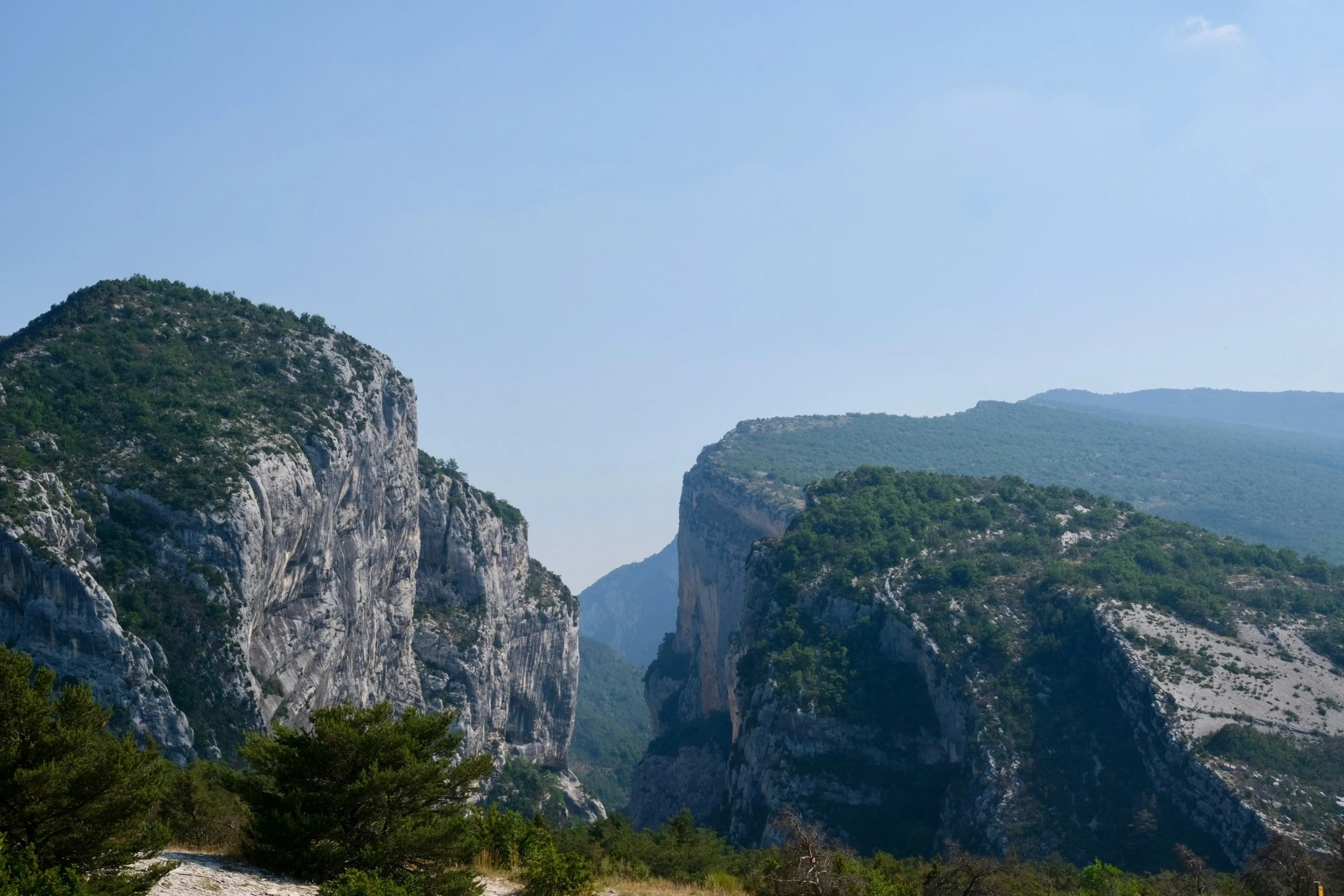 a group of mountains towering over a lush green forest