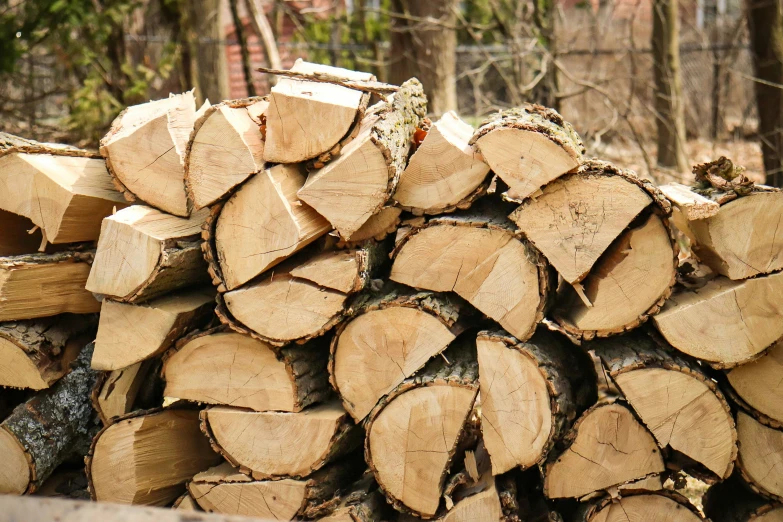 an stack of wood is shown in the woods