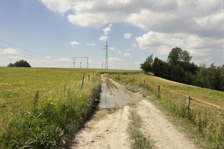 dirt road running through a grass field near telephone poles