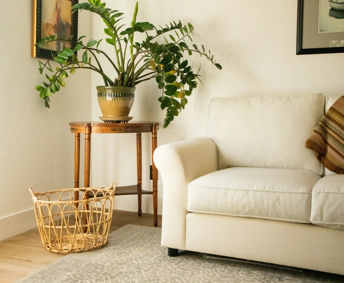 a living room with a couch and a potted plant