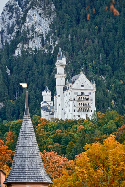 an ornate castle with many windows on the roof