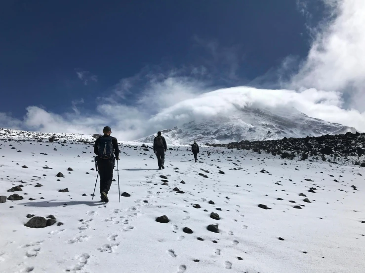 there are three skiers skiing along in the snow