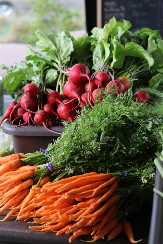 a bunch of different kinds of carrots and radishes