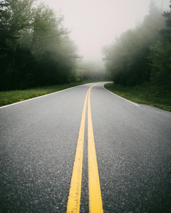 yellow striped road that goes into the trees