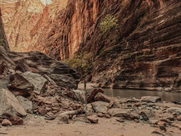 the water of the stream makes it appear that many rocks have grown up or turned out to dry off