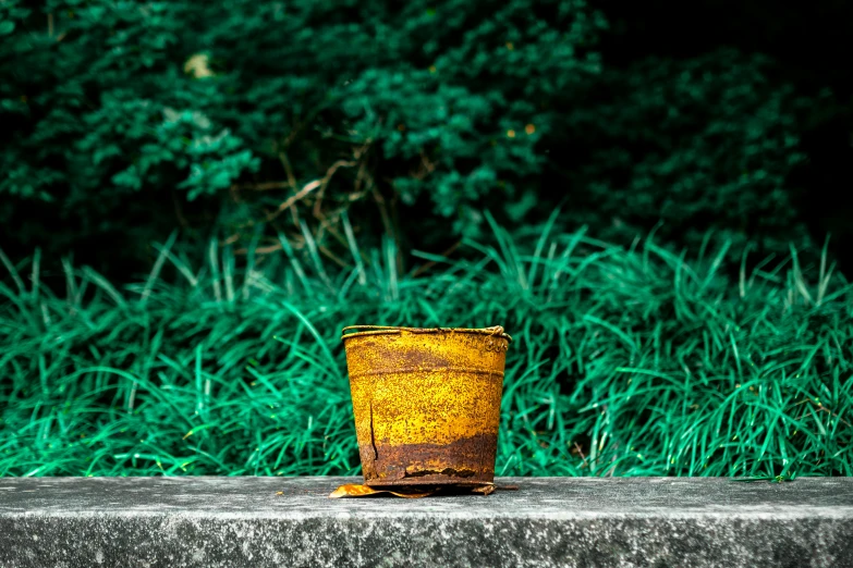 a glass sitting in front of the woods