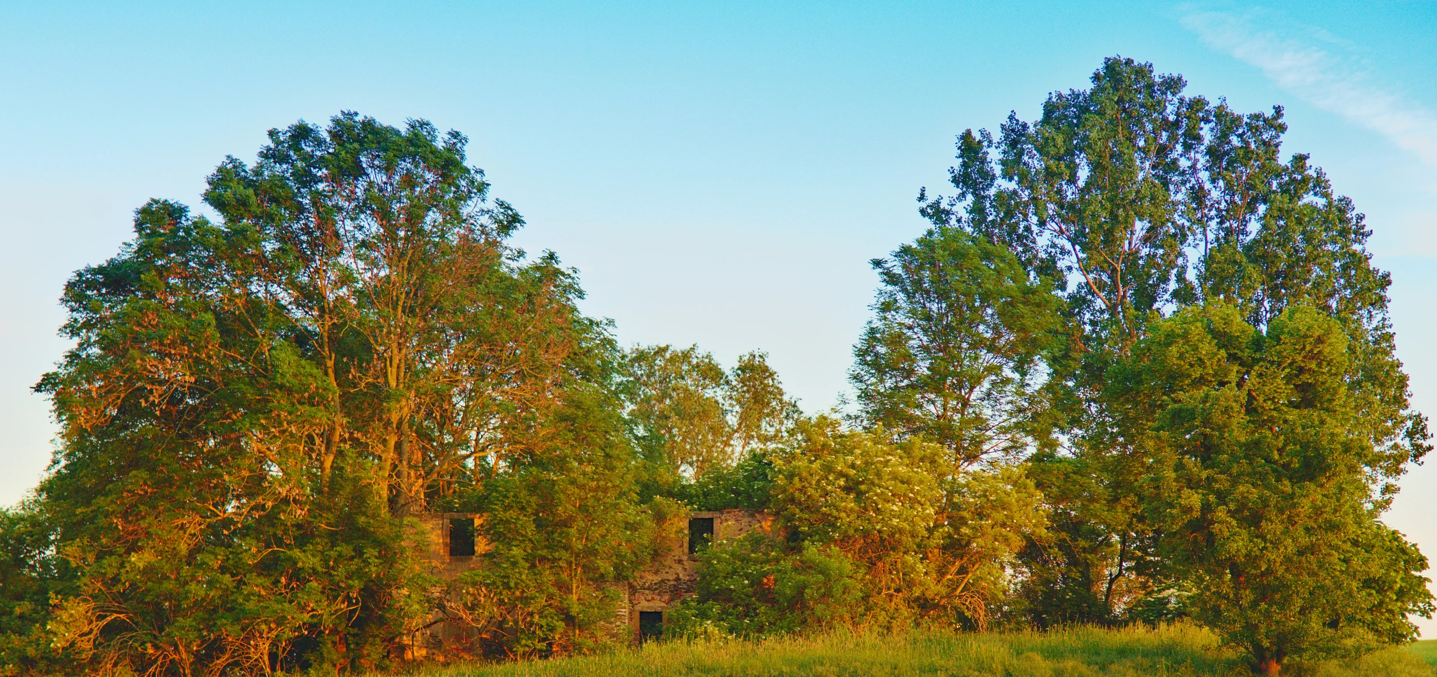 the landscape with three trees in front is blue sky