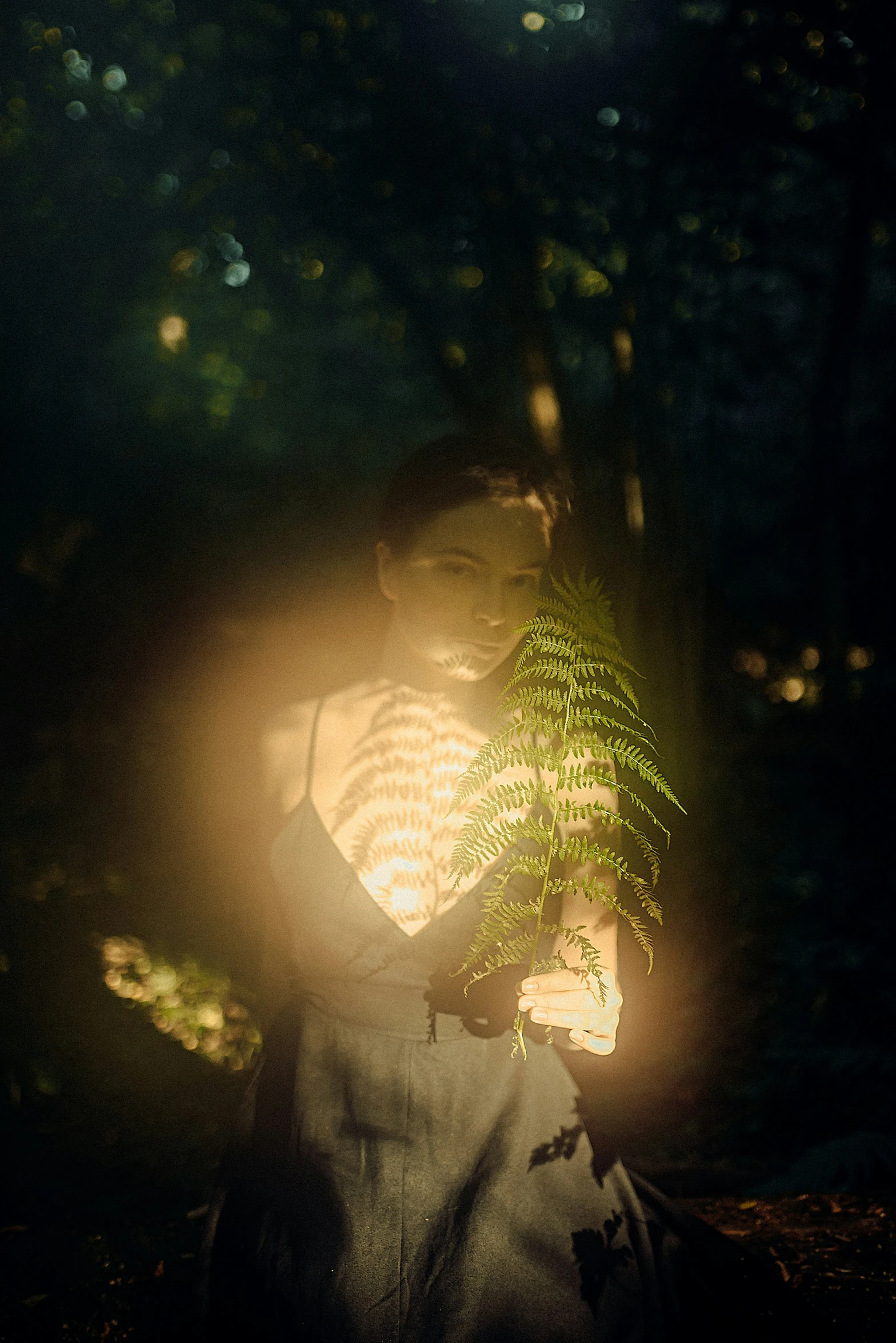 a plant is shining through the dark background