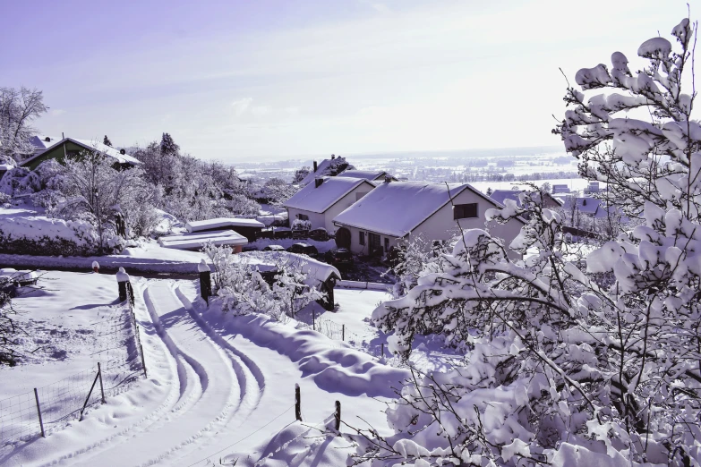 snowy landscape with house and trees on hillside