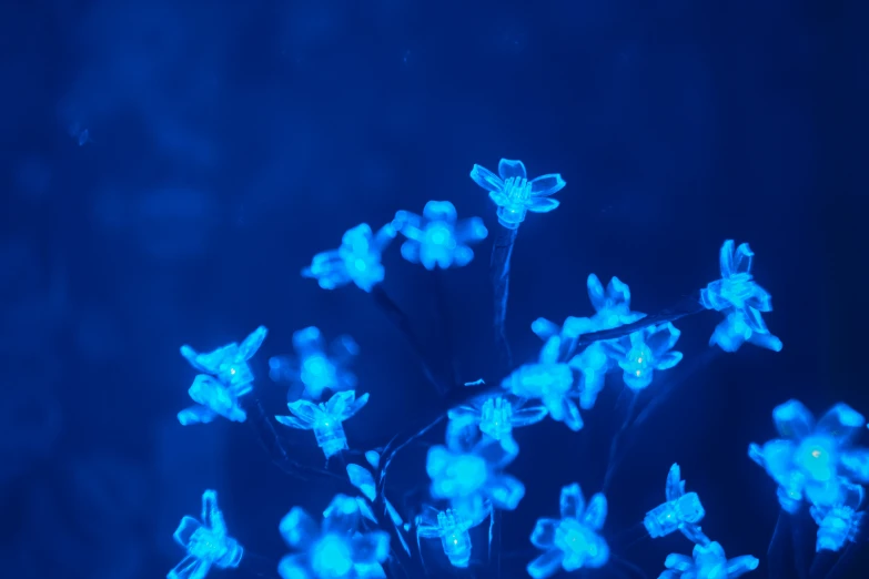 a light up flower with blue lighting inside it