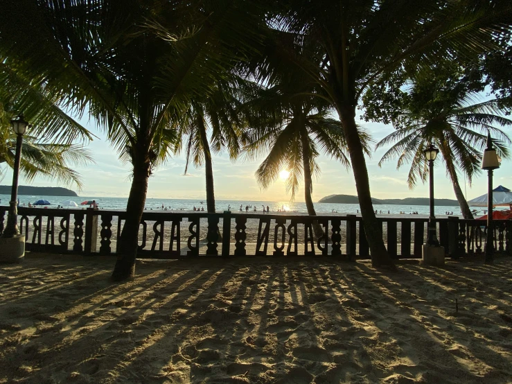 sunset, a view through palm trees and the sea