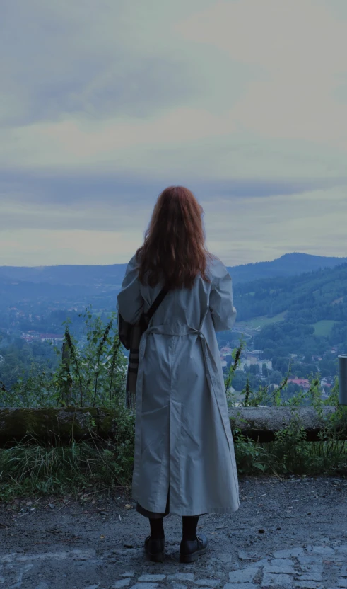 a person in trench coat looking at mountains