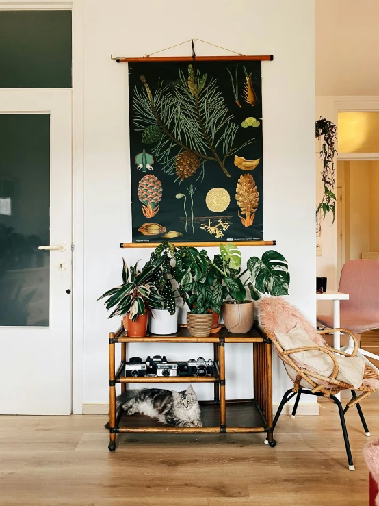 the interior area of a house with a potted plant on top