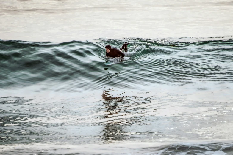 a person is surfing on some ocean waves