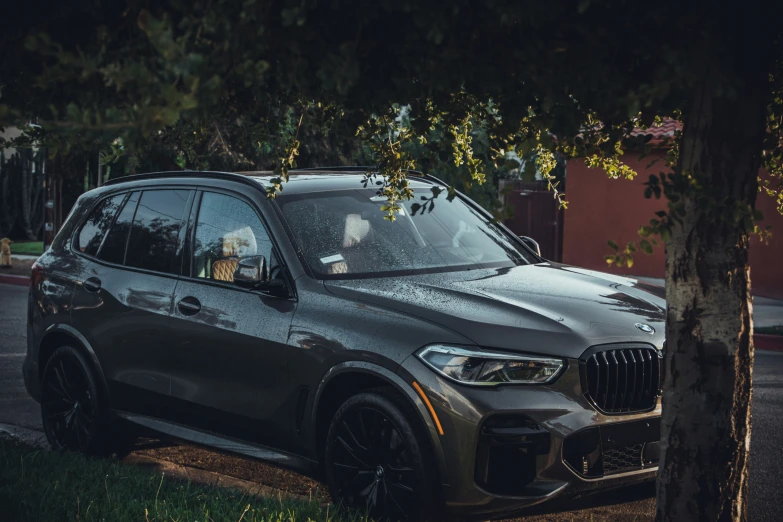 the gray bmw suv is parked on the side of the road