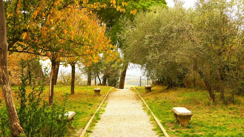 there are two benches on the grass near the trees