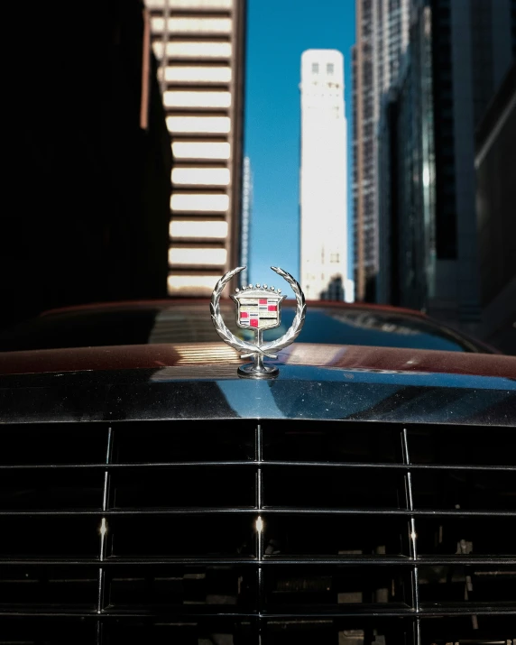 an emblem is sitting on top of a car