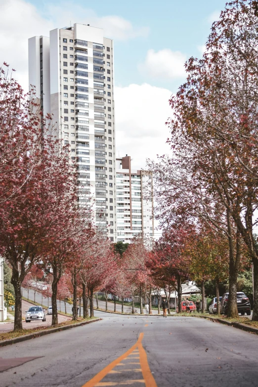 a street lined with lots of trees and buildings