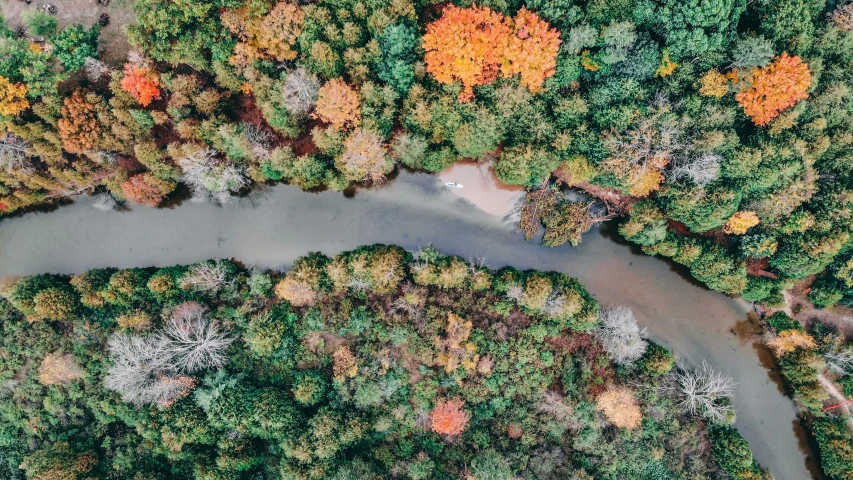 aerial view of wooded area with river