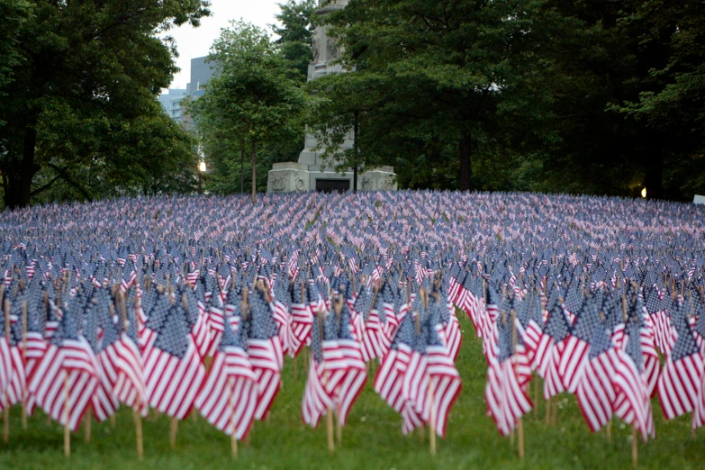 a large field with american flags sitting in the grass