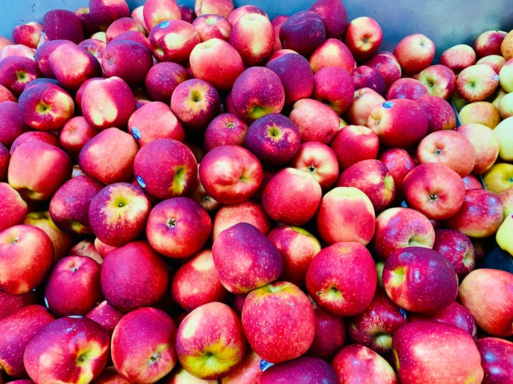 this is a large container full of apple halves