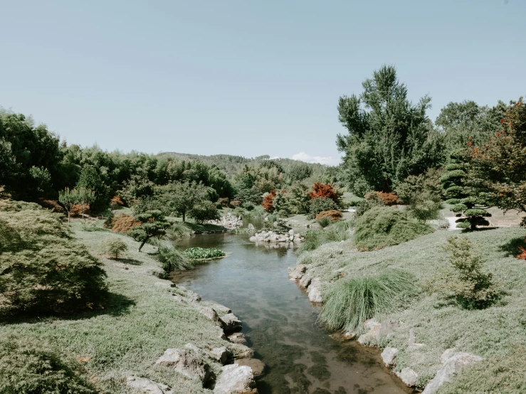 there is a small river running through a green meadow