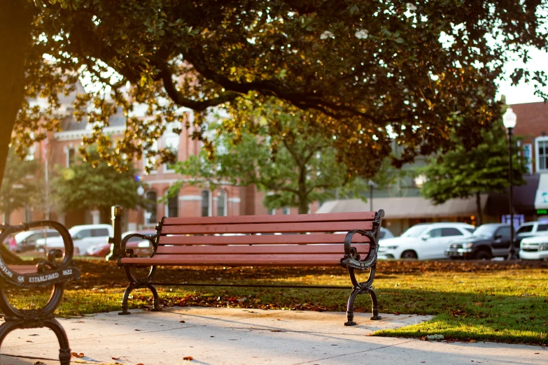 a bench on the ground next to a tree