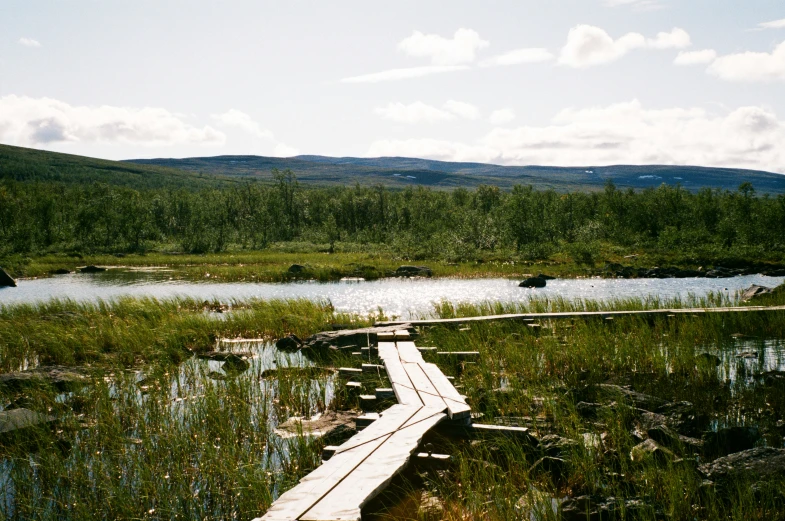 a wooden dock crossing water on an island