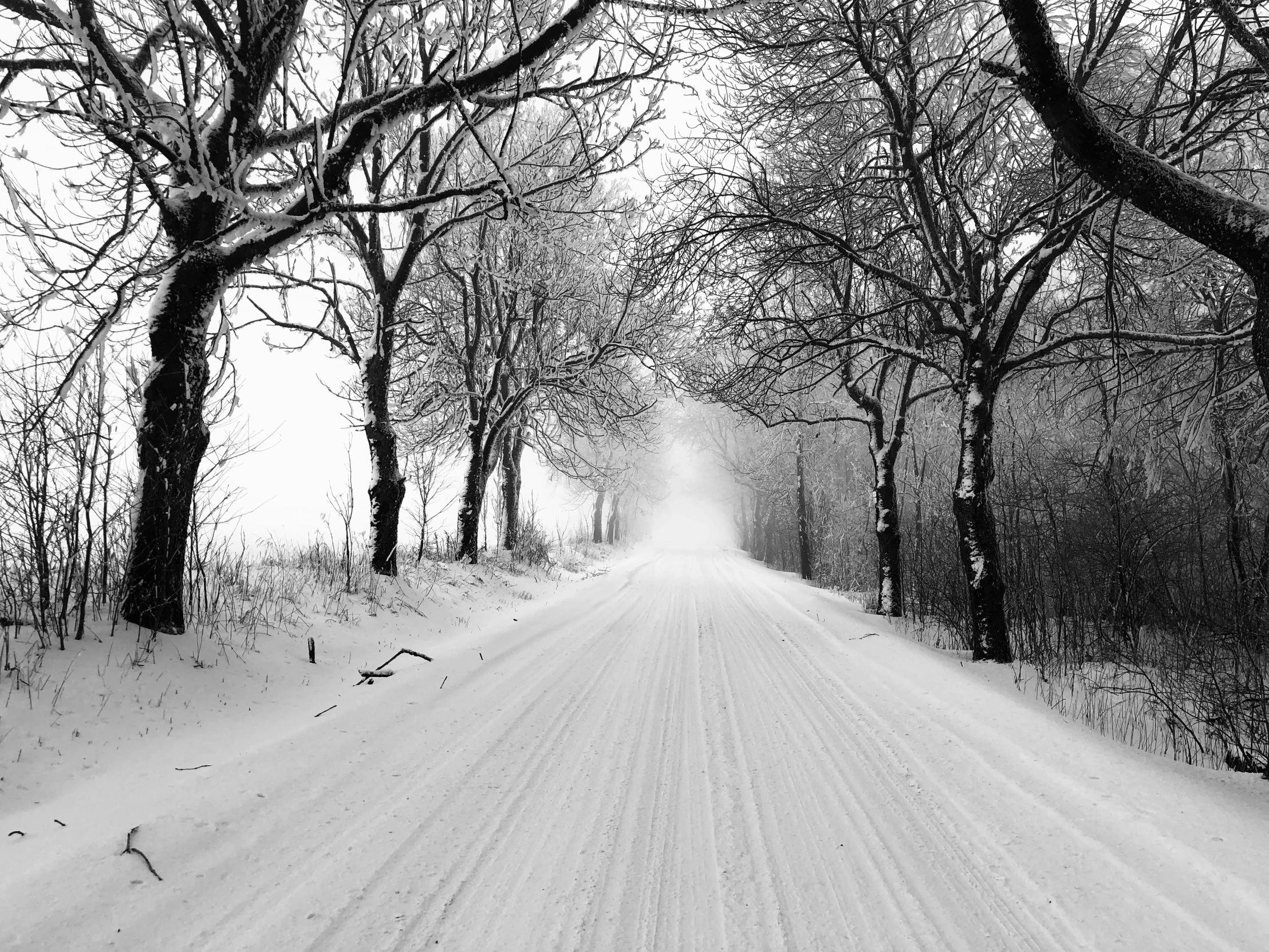 a snowy road is shown in the middle of winter