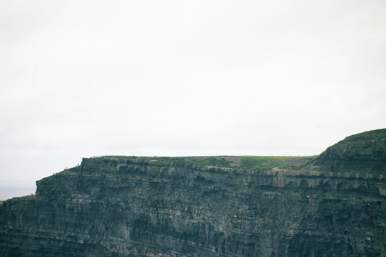 a big tall steep cliff with some very pretty plants