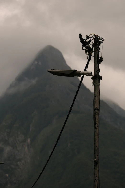 a pole with several wires and a bird sitting on top of it