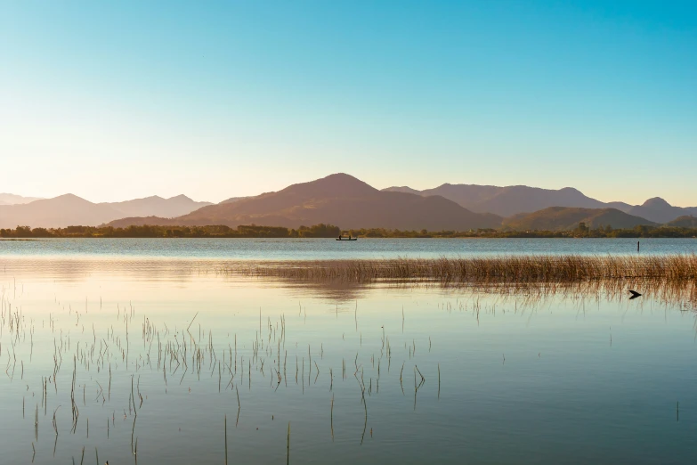 there are two animals that can be seen in this lake