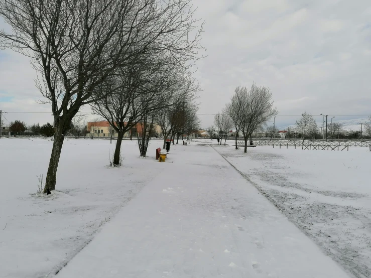 a sidewalk covered in snow with trees lining the side