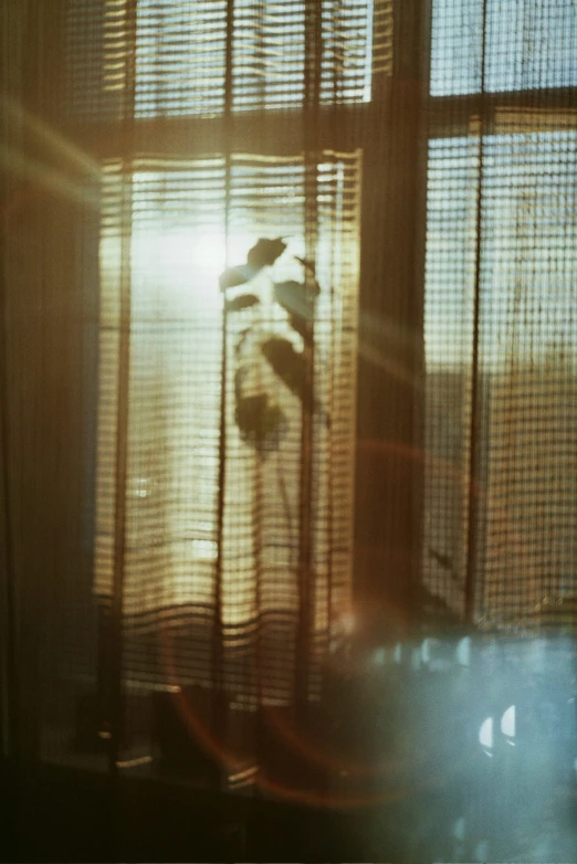 sun streaming through a window with blinds on it