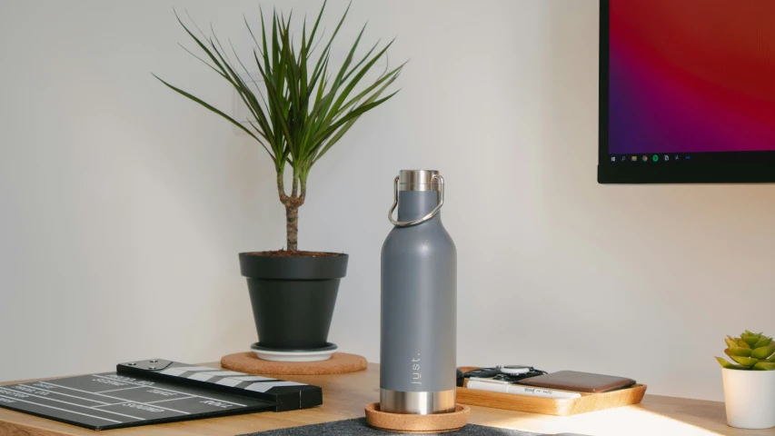 the computer is on the table with the small plant