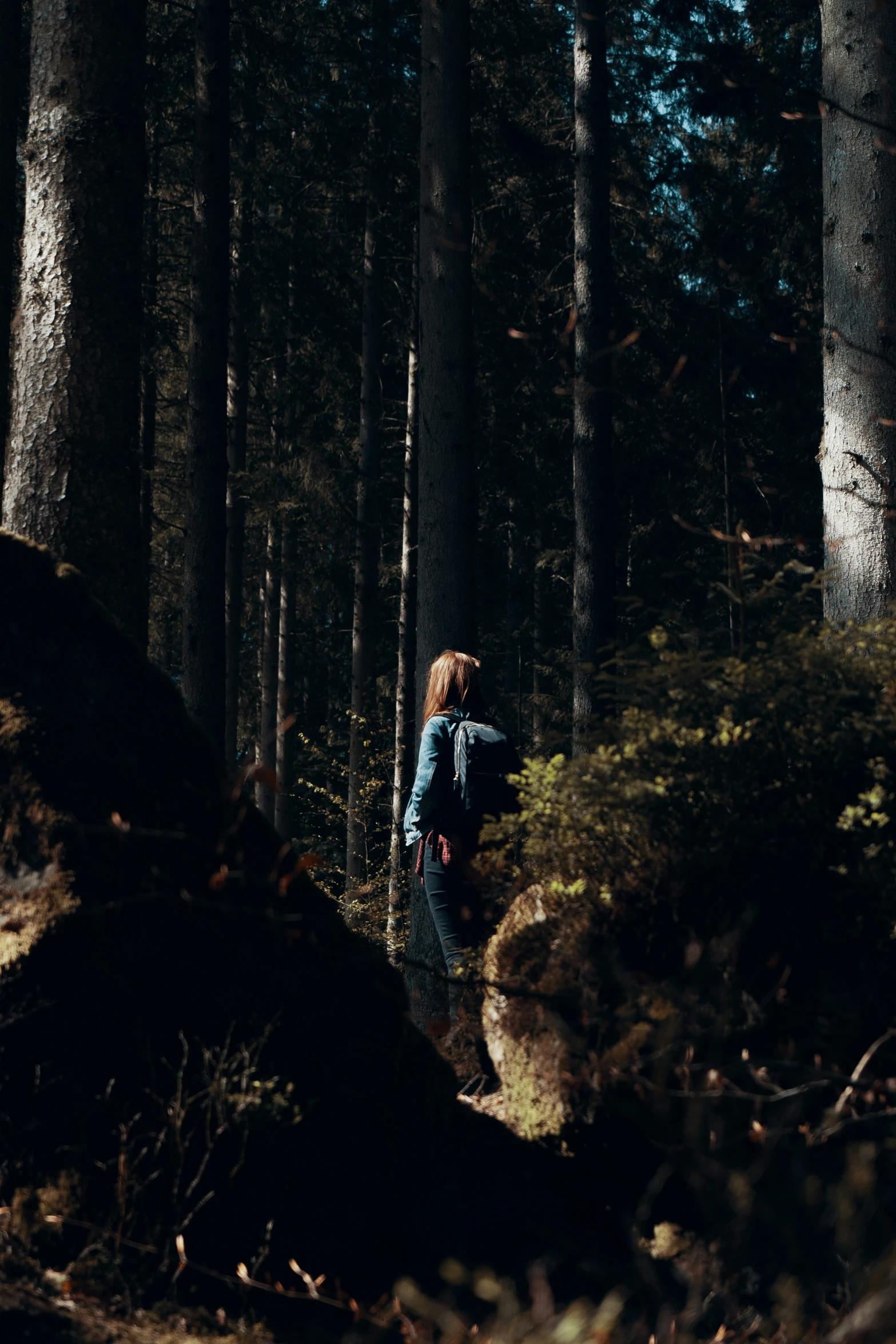 two people standing in the middle of the woods