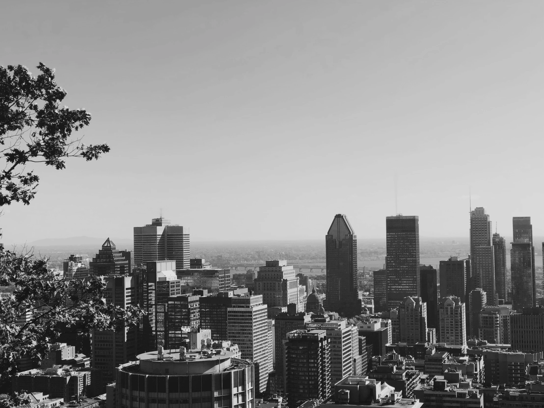 an image of the city as seen from the top of a hill