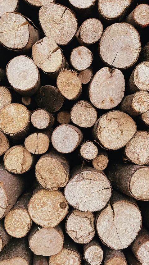 the large pile of logs is brown and has many wood pieces cut up together