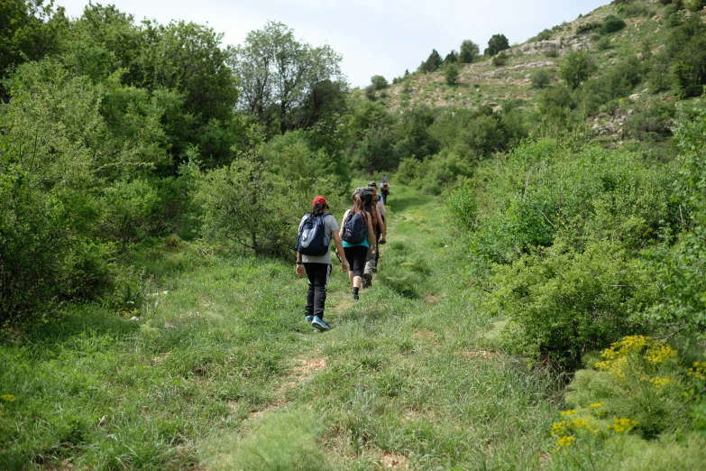 people walking down a path on a trail in the woods